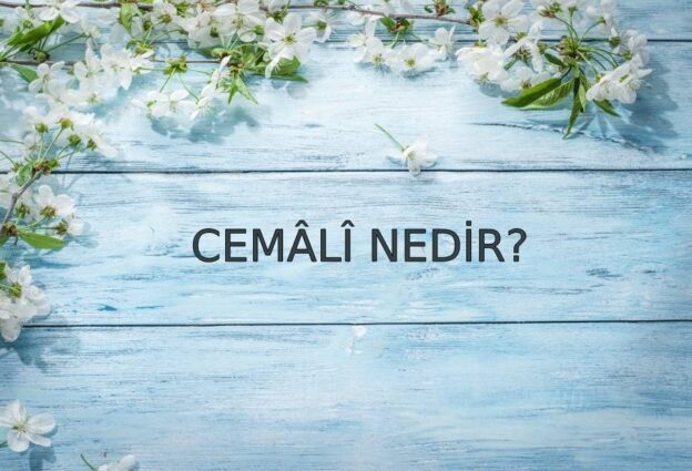 Cemâlî Nedir? 1