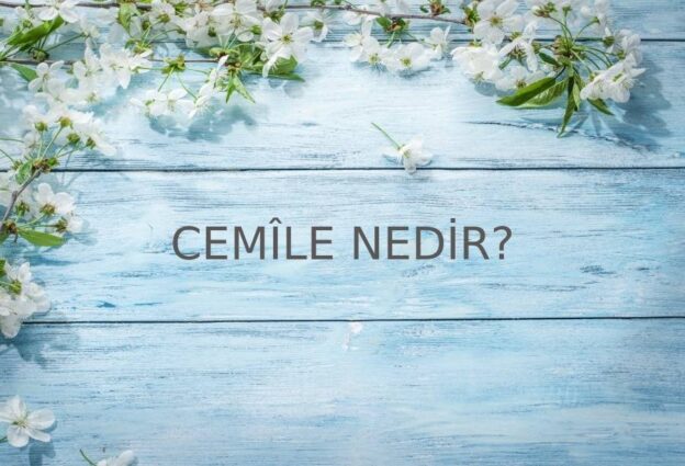 Cemîle Nedir? 1