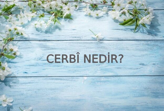 Cerbî Nedir? 2