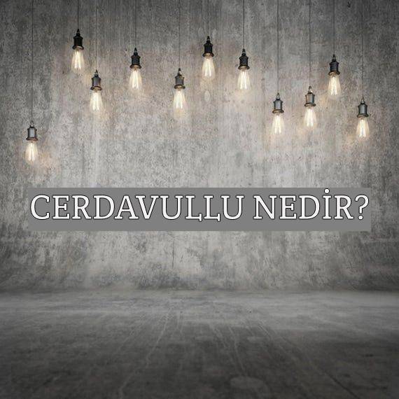 Cerdavullu Nedir? 1