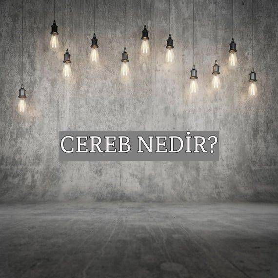 Cereb Nedir? 1