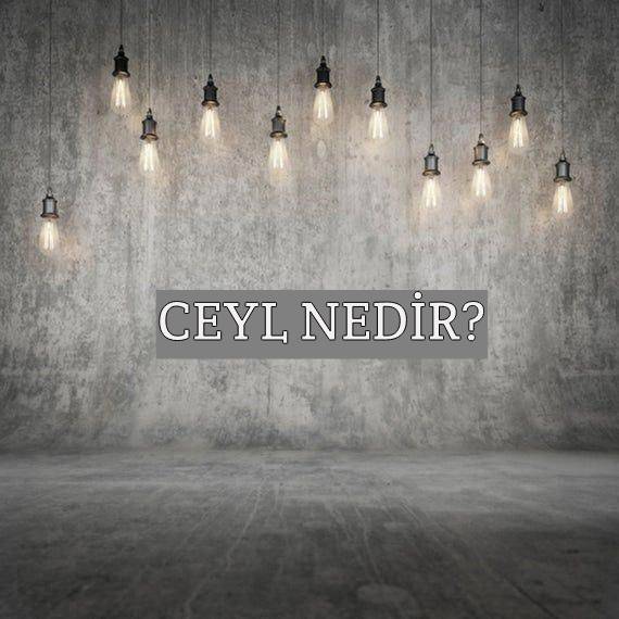 Ceyl Nedir? 1