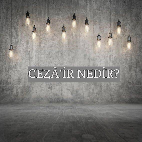 Cezâ’îr Nedir? 1