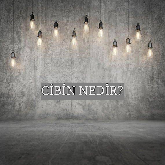 Cibin Nedir? 1