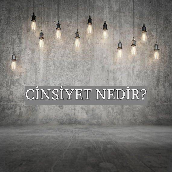 Cinsiyet Nedir? 1