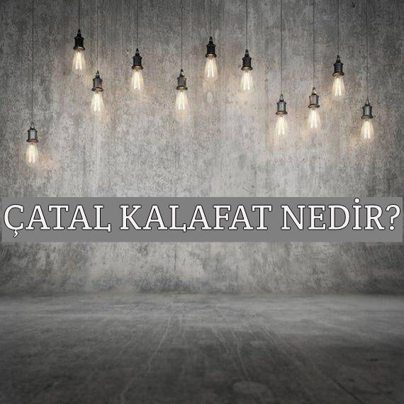 Çatal Kalafat Nedir? 1