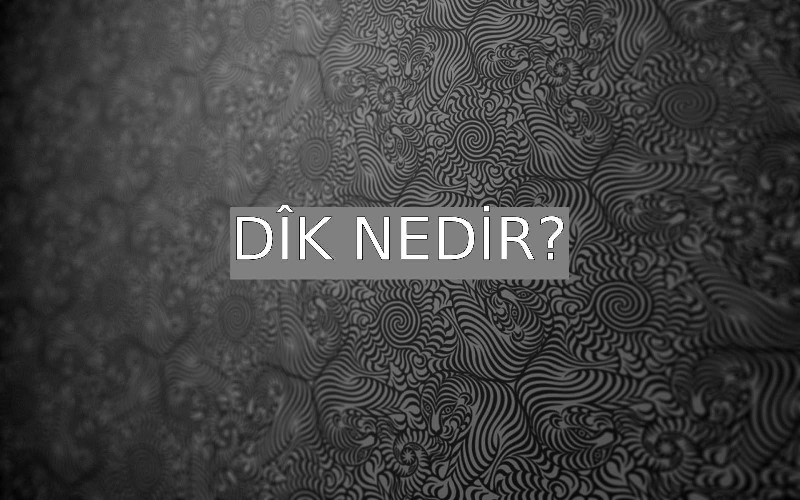 d-k-nedir-ne-demek-z-t-anlam-e-anlam