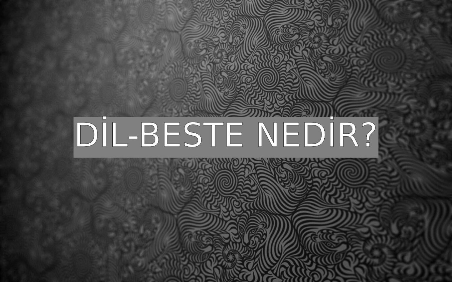 Dil Beste Nedir Ne Demek Z T Anlam E Anlam