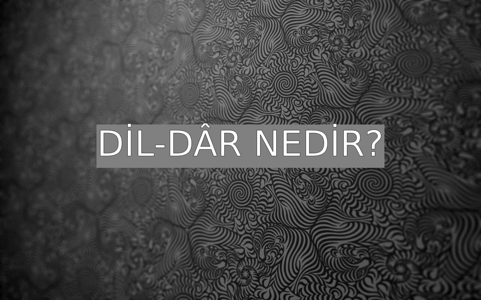 dil-d-r-nedir-ne-demek-z-t-anlam-e-anlam