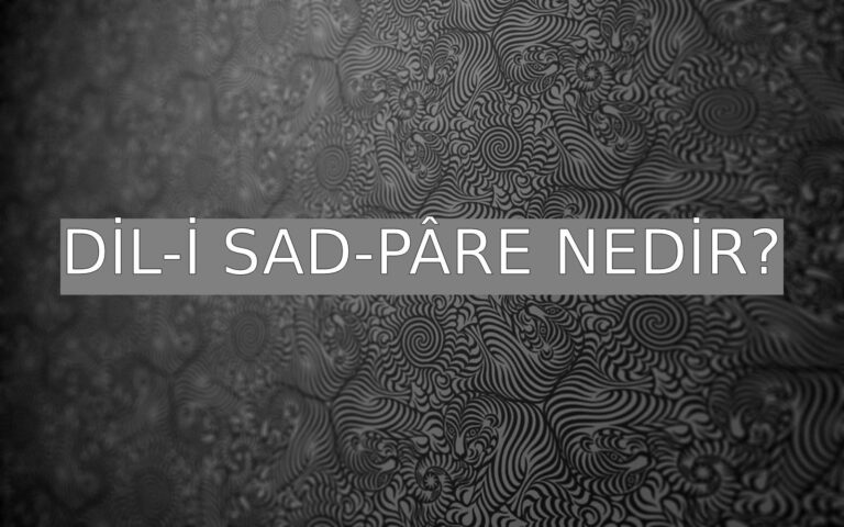 dil-i-sad-p-re-nedir-ne-demek-z-t-anlam-e-anlam