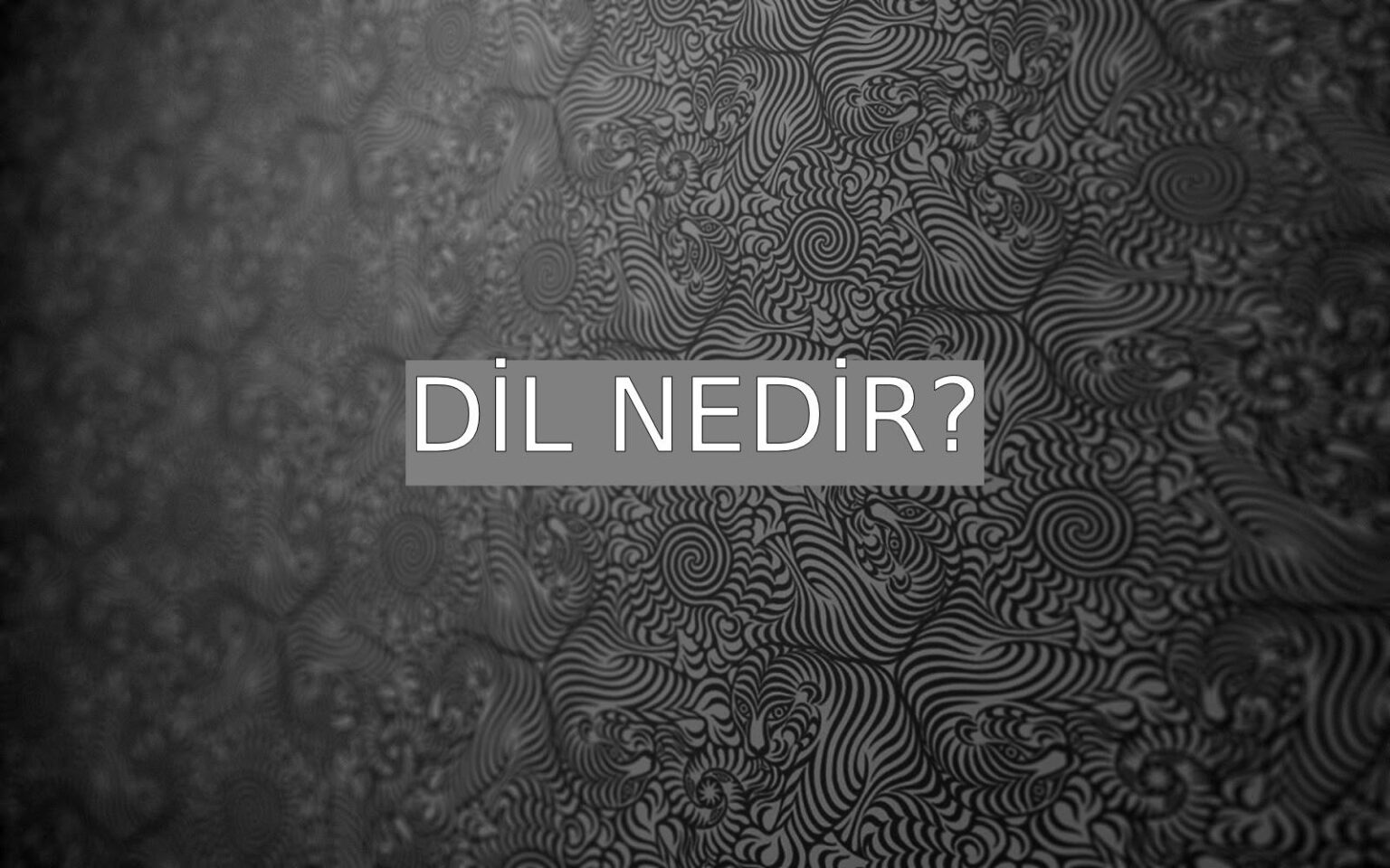 dil-nedir-ne-demek-z-t-anlam-e-anlam