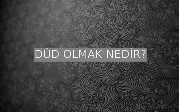 Dûd Nedir? 1