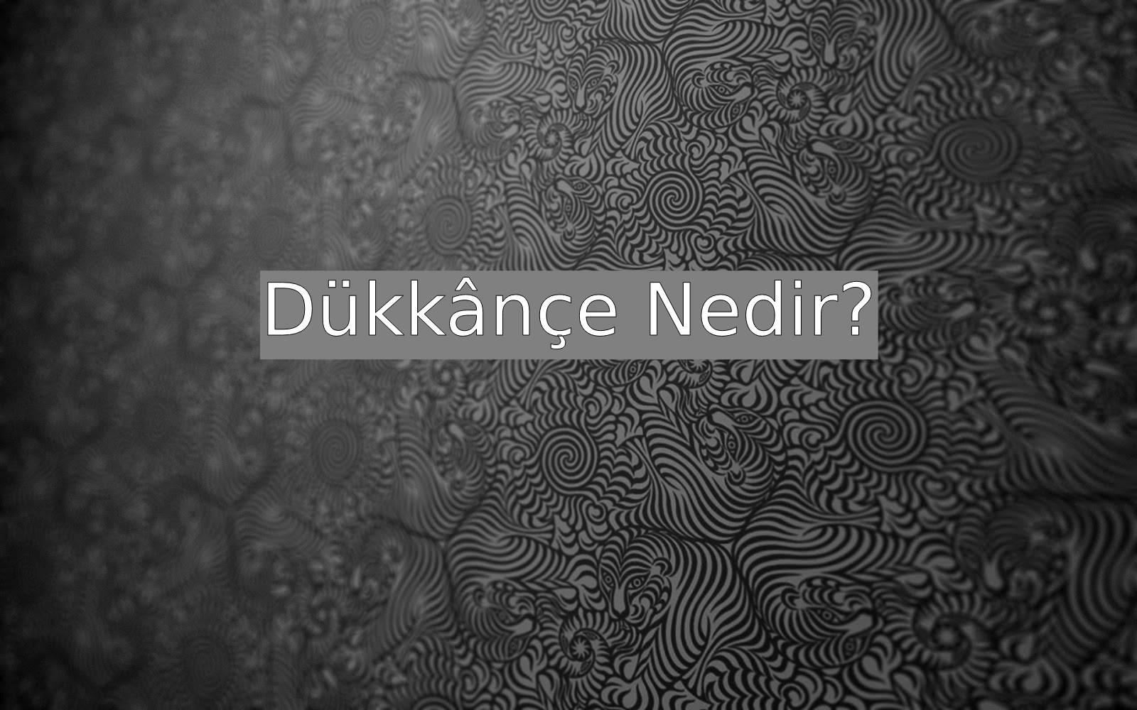 d-kk-n-e-nedir-ne-demek-z-t-anlam-e-anlam