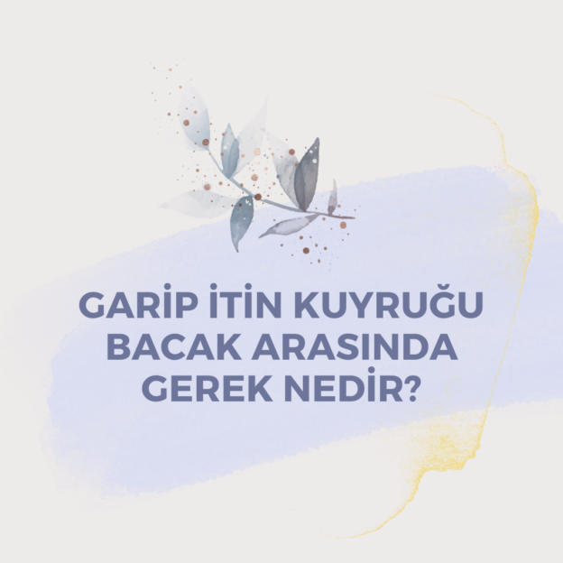 Garip İtin Kuyruğu Bacak Arasında Gerek Nedir ? 8