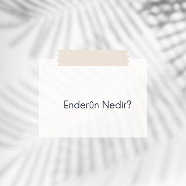 Enderûn Nedir? 1