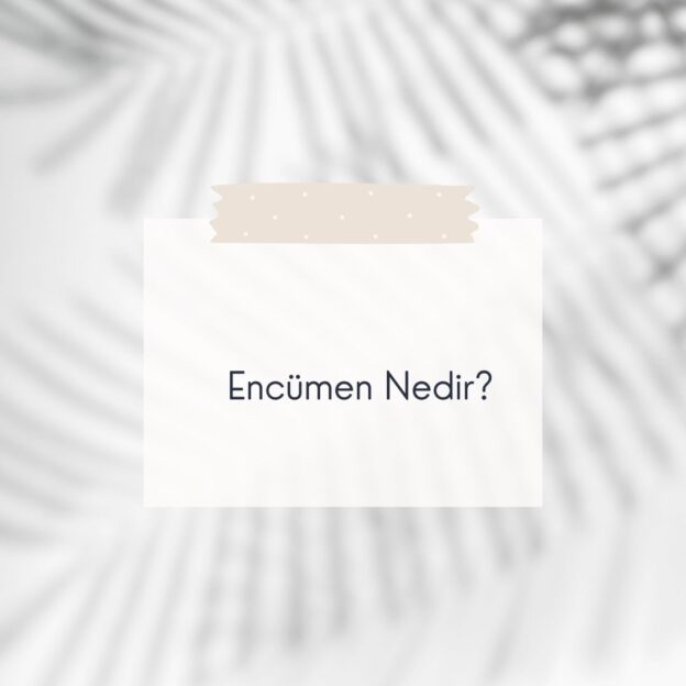 Encümen Nedir? 1