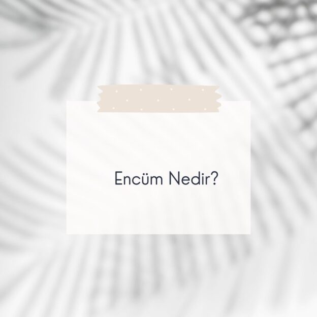 Encüm Nedir? 1