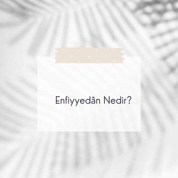 Enfiyyedân Nedir? 6