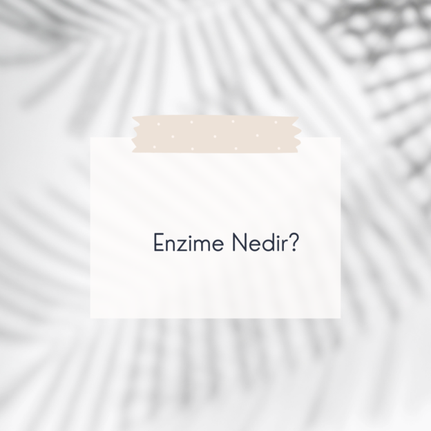 Enzime Nedir? 10