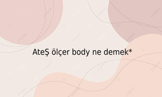 Ateş ölçer body ne demek* 1