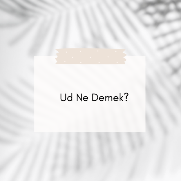 Ud Ne Demek? 1