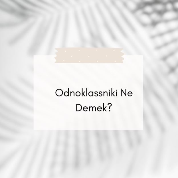 Odnoklassniki Ne Demek? 1