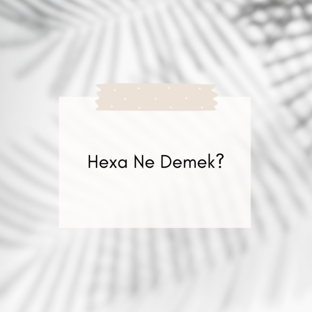 Hexa Ne Demek? 1