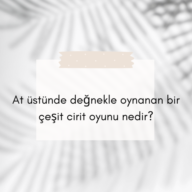 At üstünde değnekle oynanan bir çeşit cirit oyunu nedir? 1