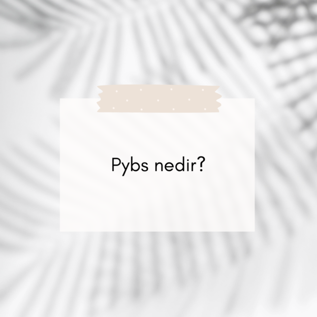 Pybs nedir? 1