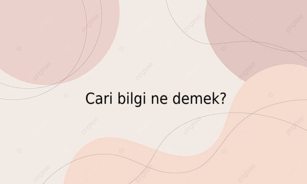 Cari bilgi ne demek? 1