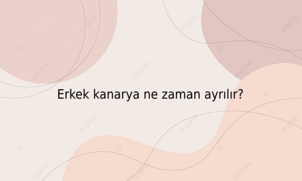 Erkek kanarya ne zaman ayrılır? 1