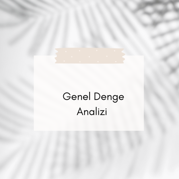 Genel Denge Analizi 1