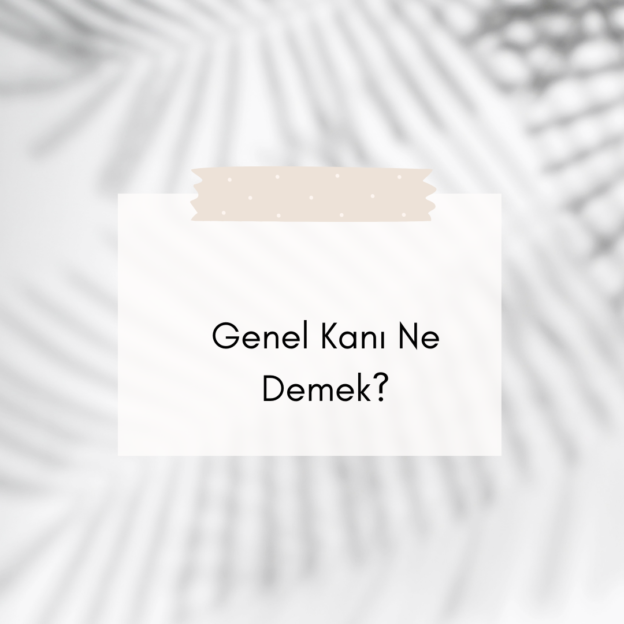 Genel Kanı Ne Demek? 1