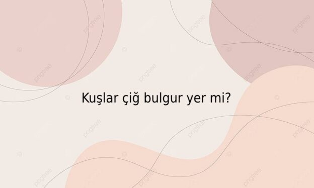 Kuşlar çiğ bulgur yer mi? 1