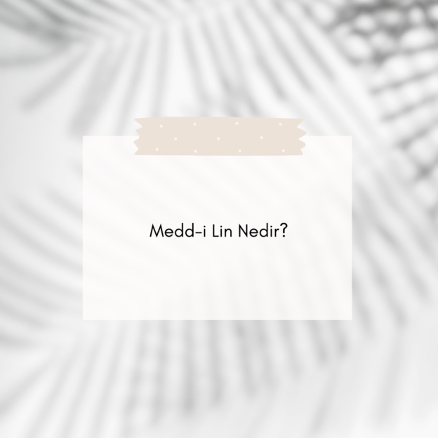 Medd-i Lin Nedir? 1