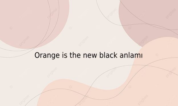 Orange is the new black anlamı 1