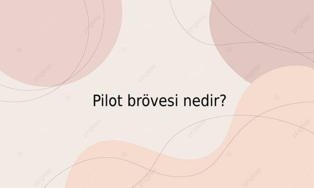 Pilot brövesi nedir? 1