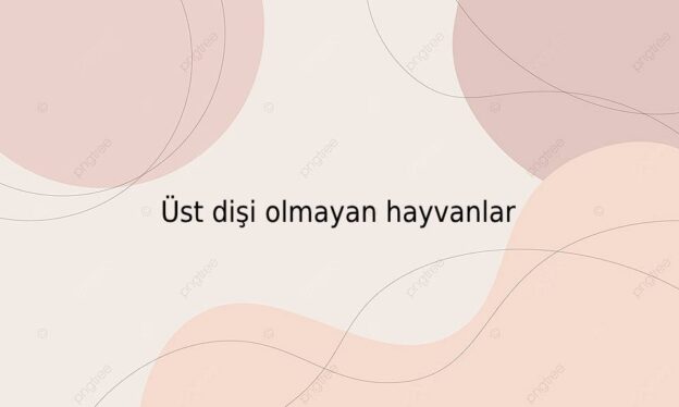 Üst dişi olmayan hayvanlar 1