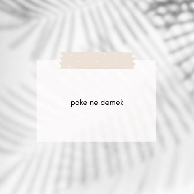 poke ne demek 1