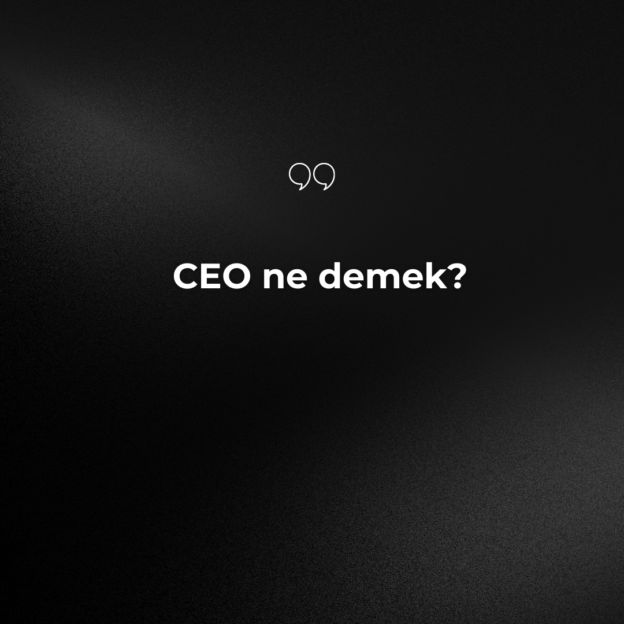 CEO ne demek? 1