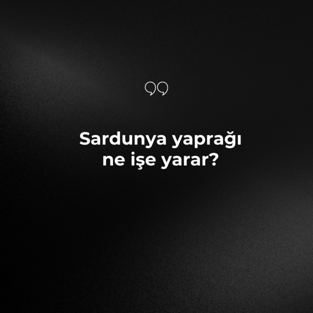 Sardunya yaprağı ne işe yarar? 1