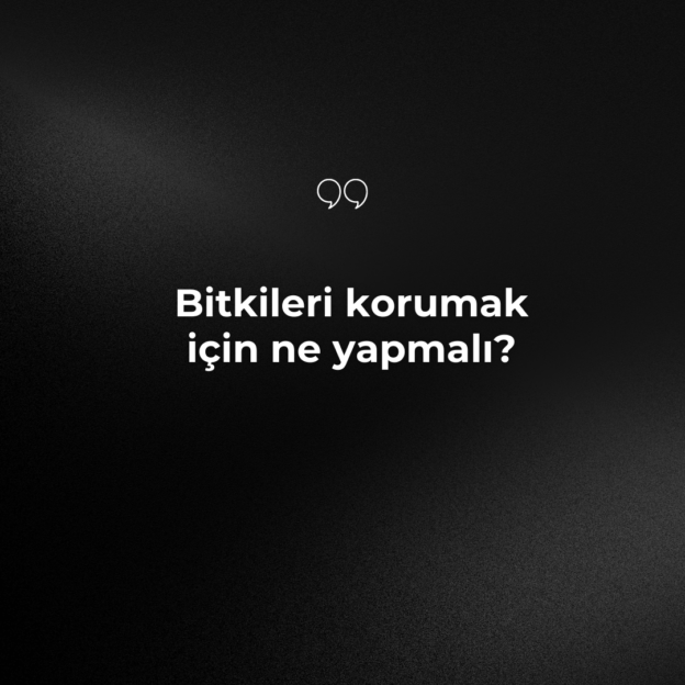 Bitkileri korumak için ne yapmalı? 1