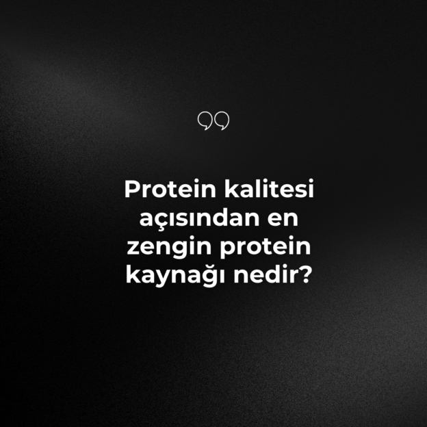 Protein kalitesi açısından en zengin protein kaynağı nedir? 1