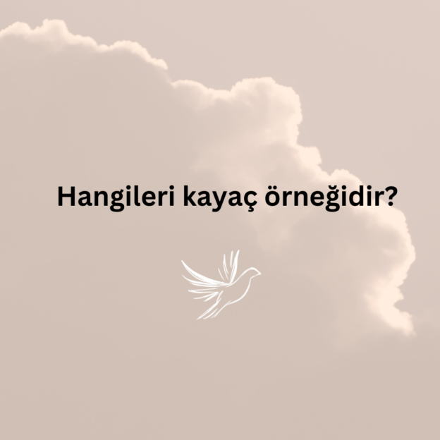 Hangileri kayaç örneğidir? 1