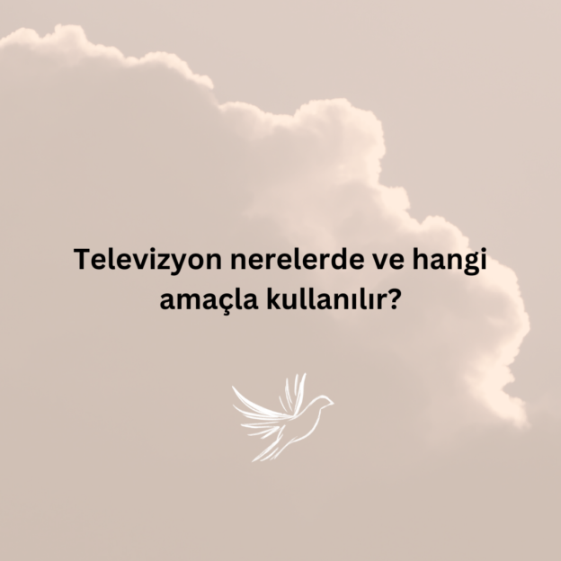 Televizyon nerelerde ve hangi amaçla kullanılır? 1