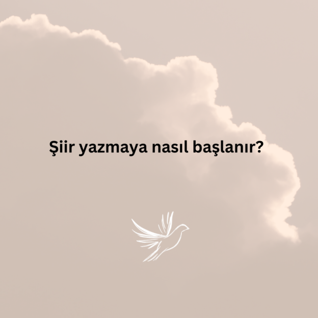 Şiir yazmaya nasıl başlanır? 1