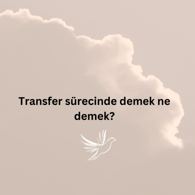 Transfer sürecinde demek ne demek? 1