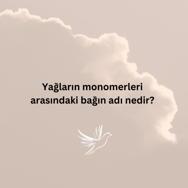 Yağların monomerleri arasındaki bağın adı nedir? 1