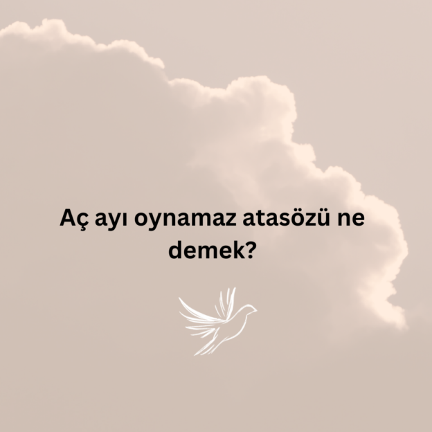 Aç ayı oynamaz atasözü ne demek? 1