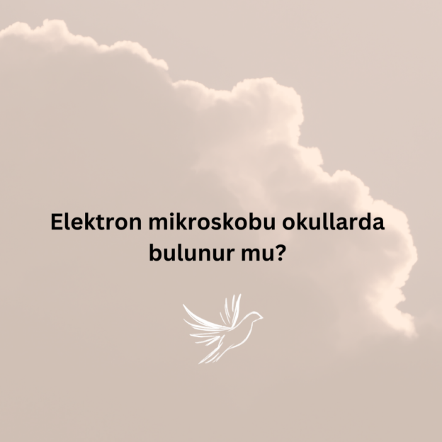 Elektron mikroskobu okullarda bulunur mu? 1